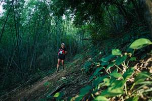 BIB: 
                            <button type="button" onclick="openModal(28124947)" class="btn btn-primary btn-sm float-right btn-popup" data-toggle="modal" data-target=".modal-high-quality">
                        <i class="fas fa-shopping-cart"></i> Add to Cart
                    </button>
                                            <button type="button" onclick="isThisMe(28124947, true)" class="btn btn-success btn-sm float-right btn-popup btn-isme hidden" data-toggle="tooltip" data-placement="bottom" title="นี่คือรูปของคุณใช่ไหม คลิกที่นี่เพื่อเอาเข้าอัลบั้ม">
                        <i class="fas fa-plus"></i> Add to album
                    </button>
                    <button type="button" onclick="isThisMe(28124947, false)" class="btn btn-warning btn-sm float-right btn-popup btn-isnotme hidden">
                        <i class="fas fa-ban"></i> Remove from album
                    </button>